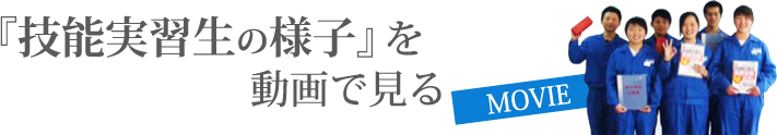 技能実習生の様子を動画で見る